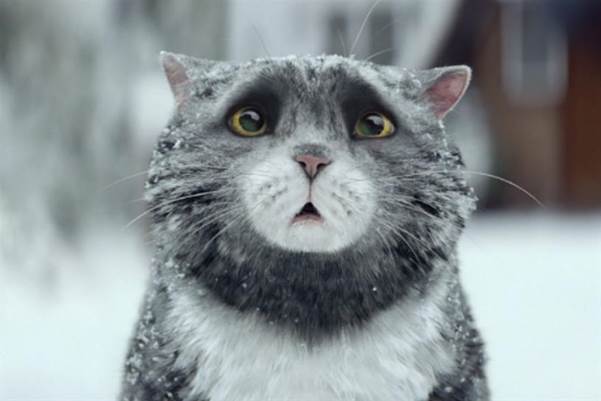 Mog